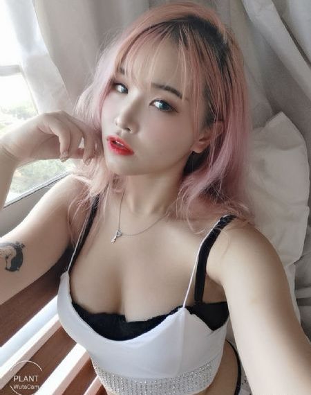 细狗视频vip_剧情片天堂在线